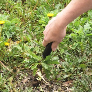 Pelle de jardin Multifonction - Sans manche en bois - Jardioui