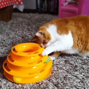 Crazy Ball jouet pour chat Crazy Ball jouet pour chat