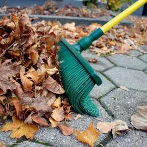 Balai extérieur GARDIREX 2-en-1 qui pousse les feuilles