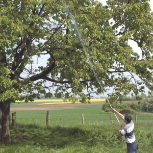 Pulvérisateur pour traitement des arbres