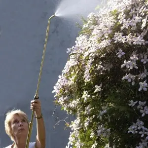 Pulvérisateur arrosage en hauteur Pulvérisateur arrosage en hauteur