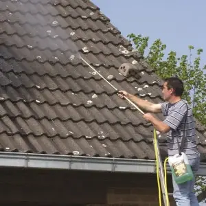 Pulvérisateur nettoyage toiture Pulvérisateur nettoyage toiture