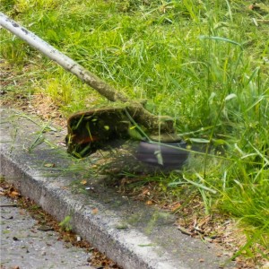 Brosse à désherber Gardirex