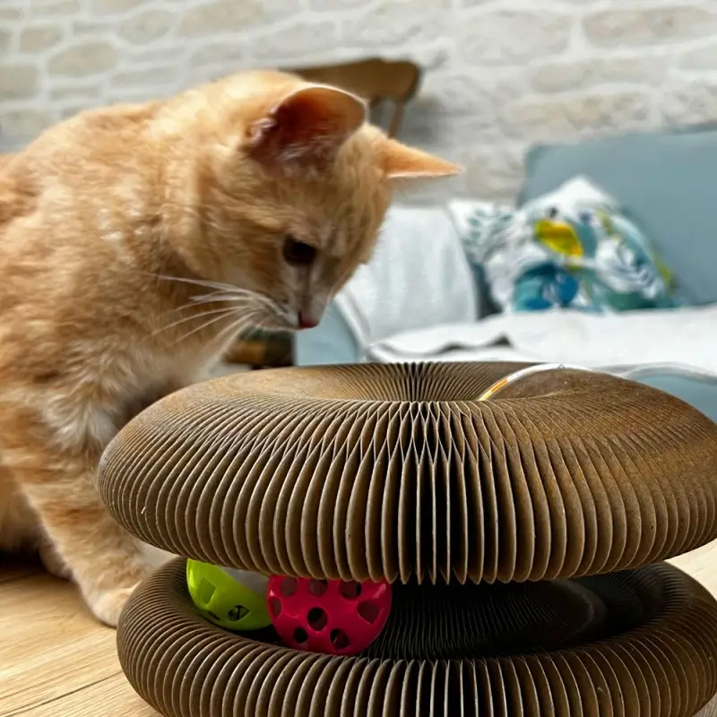 Jouet pour chat interactif Jouet pour chat interactif