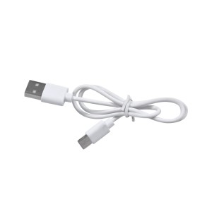 Câble de charge USB pour Buzz Push