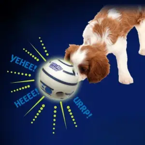 Balle pour chien rebondissante Balle pour chien rebondissante