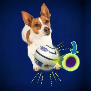 Balle pour chien rebondissante et sonore Balle pour chien rebondissante et sonore