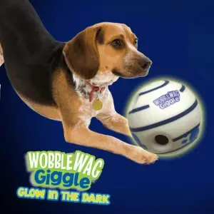 Jouet pour chien WOBBLE WAG GIGGLE GLOW Jouet pour chien WOBBLE WAG GIGGLE GLOW