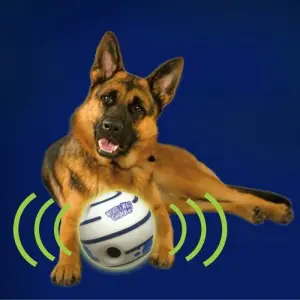 Balle pour chien WOBBLE WAG GIGGLE GLOW Balle pour chien WOBBLE WAG GIGGLE GLOW