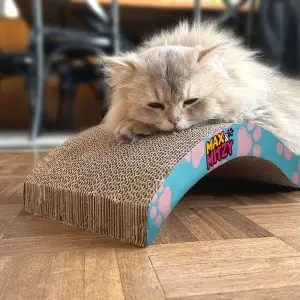 griffoir féli'zen max & mitzy