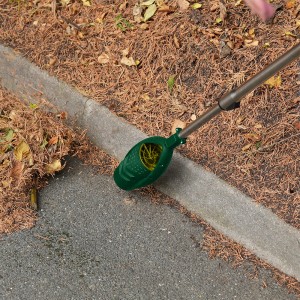 nettoyage rapide aiguilles de pin