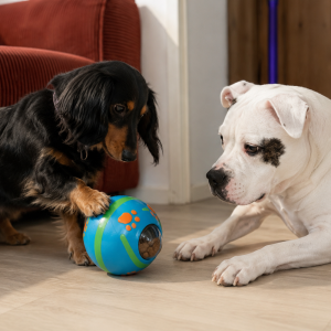 Wobble Wag Giggle® Friandises - Jouet distributeur sans pile pour chien
